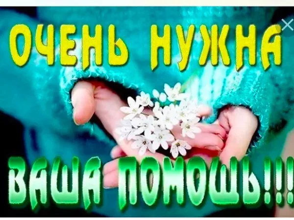 Помочь может каждый!