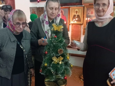 Социальное служение: «Рождественская ёлка желаний» в Сычёвском благочинии