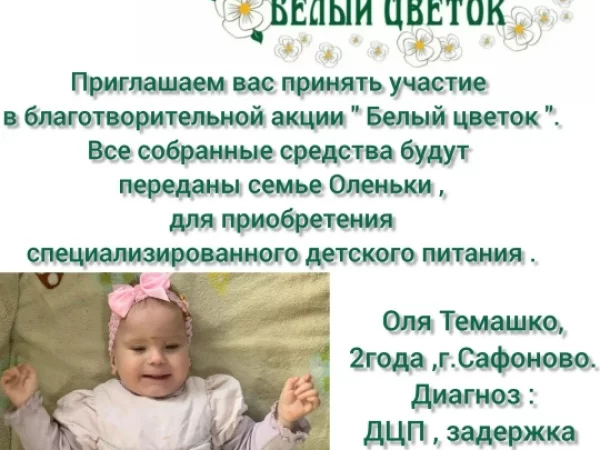 В Сафоновском благочинии подведены итоги благотворительной акции "Белый цветок"