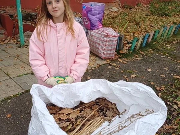 В городе Сафоново прошёл осенний субботник