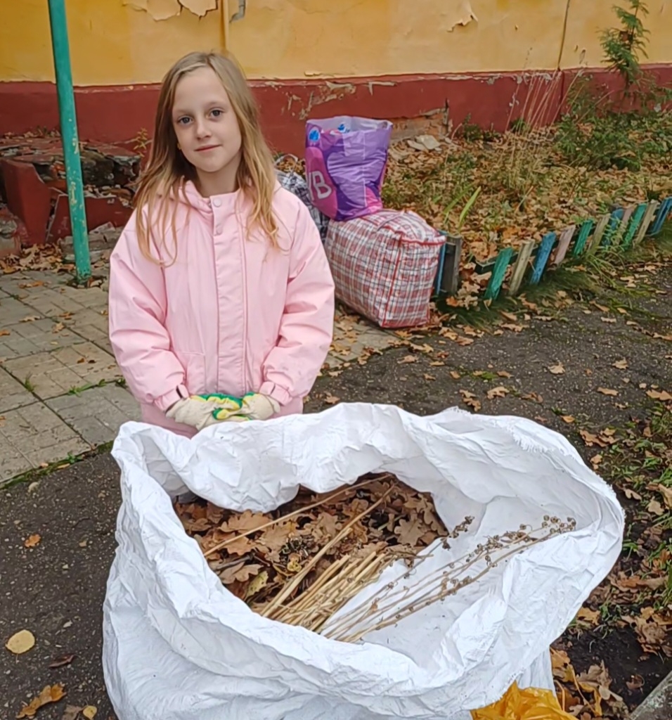 В городе Сафоново прошёл осенний субботник